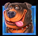 Doberman